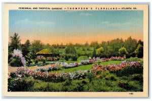 c1940s Perennial And Tropical Gardens Flowers Scene Atlanta Georgia GA Postcard