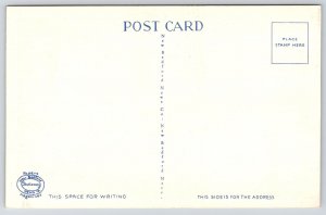 Vintage Postcard Blackfish Driven Ashore South Wellfleet Cape Cod Massachusetts