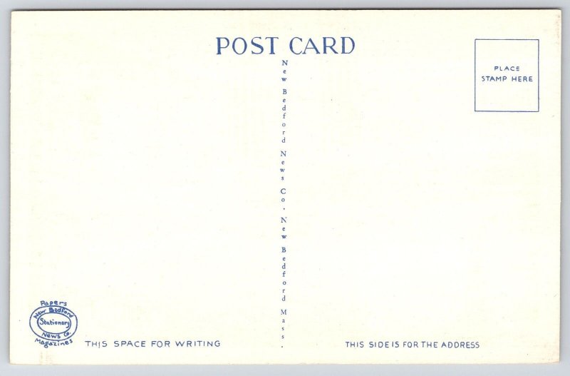 Vintage Postcard Blackfish Driven Ashore South Wellfleet Cape Cod Massachusetts