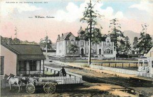 Postcard 1908 Arizona Williams Residence Street horse cart Johnston AZ24-3470