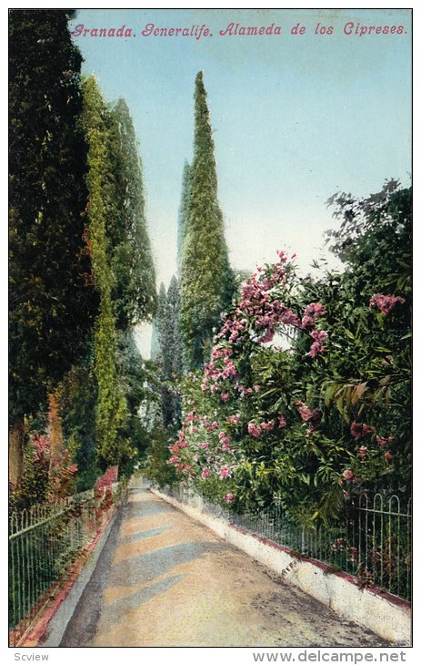 GRANADA, Generalife, Alameda de los Cipreses, Andalucia, Spain, 00-10s