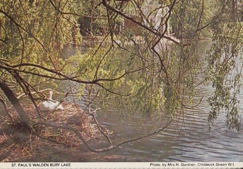 St Pauls Walden Bury Lake Swans Herts Hertfordshire Womens Institute Postcard