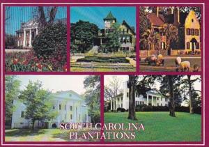 South Carolina Plantations Charleston Middleton Magnolia & More