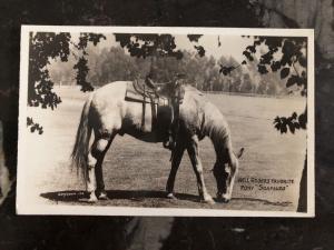 Mint USA Real Picture Postcard Will Rodgers Favorite Pony