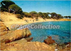 Postcard Modern Porto Vecchio under the pine trees Palombaja of the most beau...