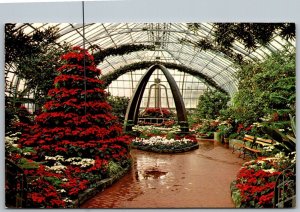 Cincinnati Ohio 1960s Postcard Christmas Display Krohn Conservatory