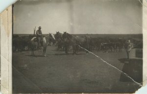 Mounted Cowboy with Herd of Horses Vintage RPPC Postcard