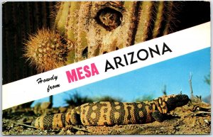 VINTAGE POSTCARD SMALL OWL AND GILA MONSTER DUAL-VIEW FROM MESA ARIZONA 1960s