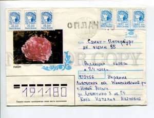 413457 UKRAINE 1993 peony flower Provisional Lviv Nikolaevsky Noviy Razdol