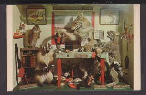 Minnesota Larson - Northwood's Kangaroo Court Interior Humor - Chrome