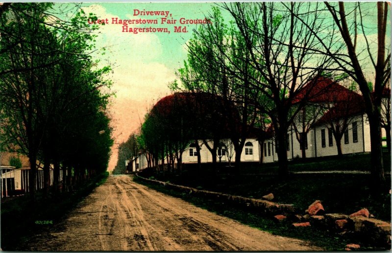 Hagerstown Maryland MD Driveway Great Fairgrounds 1907 Vtg Postcard