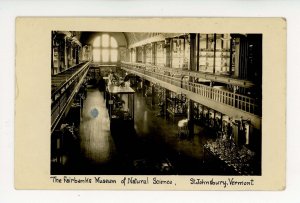 VT - St. Johnsbury.Inside Fairbanks Museum of Nat Science ca1920 RPPC (stain)