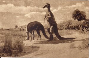 DINOSAUR, Trachodon, Cretaceous, Museum of Natural History, NY, 1920-30