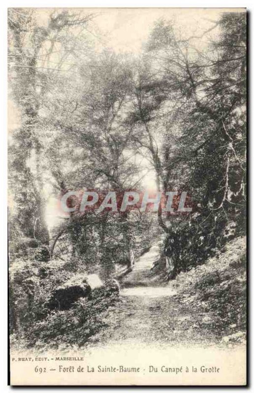 Old Postcard Forest Tree of Sainte Baume From Sofa to the cave