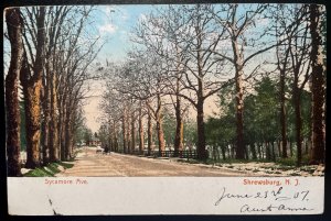 Vintage Postcard 1907 Sycamore Avenue, Shrewsbury, New Jersey (NJ)