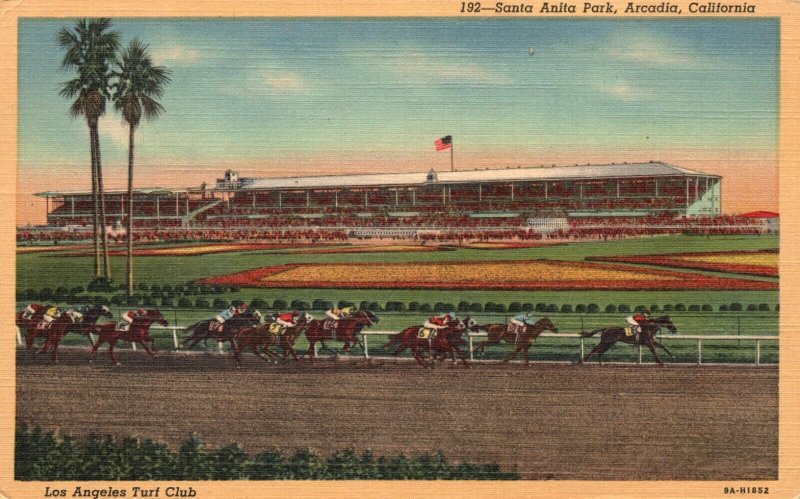 Vintage Postcard Los Angeles Turf Club Santa Anita Park Arcadia California