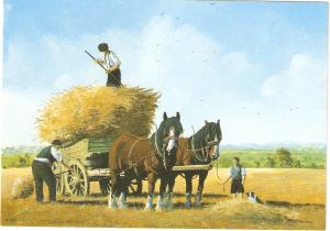 Working horses. Straw carting Nice modern English PC. Size 6 x 4