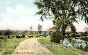 In the Meadow - Lancaster, Massachusetts MA