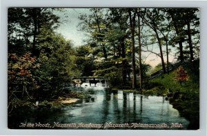 Nazareth MI-Michigan, In The Woods Of Nazareth Academy, Vintage Postcard