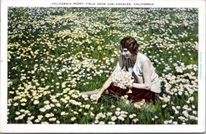 Postcard CA Los Angeles  Flapper woman picking Poppies in California Poppy Field