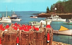 Vintage Postcard Fishing & Lobster Boats Life At Anchor Harbor Maine ME