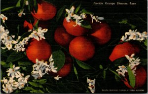 Vtg Orange Blossom Time Cypress Gardens Florida FL Unused Linen Postcard