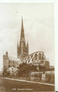 Norfolk Postcard - Norwich Cathedral - Real Photograph - Ref TZ9952