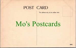 Kent Postcard - Walmer Castle, The Broadway   SW11060