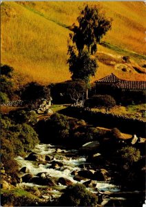 VINTAGE CONTINENTAL SIZE POSTCARD MOUNTAIN LOS ANDES VILLAGE FARM AREA VENEZUELA