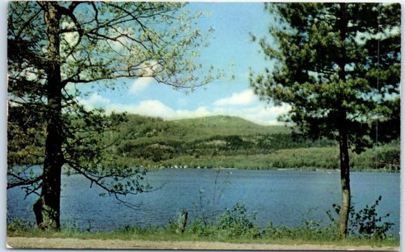 Postcard - Nature/Landscape Scene