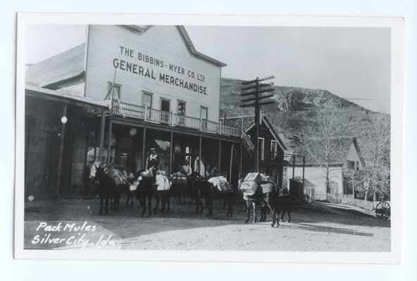 RPPC of Pack Mules, Silver City, Idaho, ID, Kodak Paper Real Photo