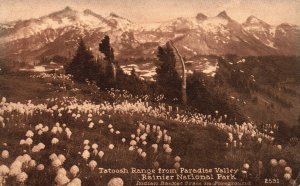 Vintage Postcard 1916 Tatoosh Range From Paradise Valley Rainier National Park