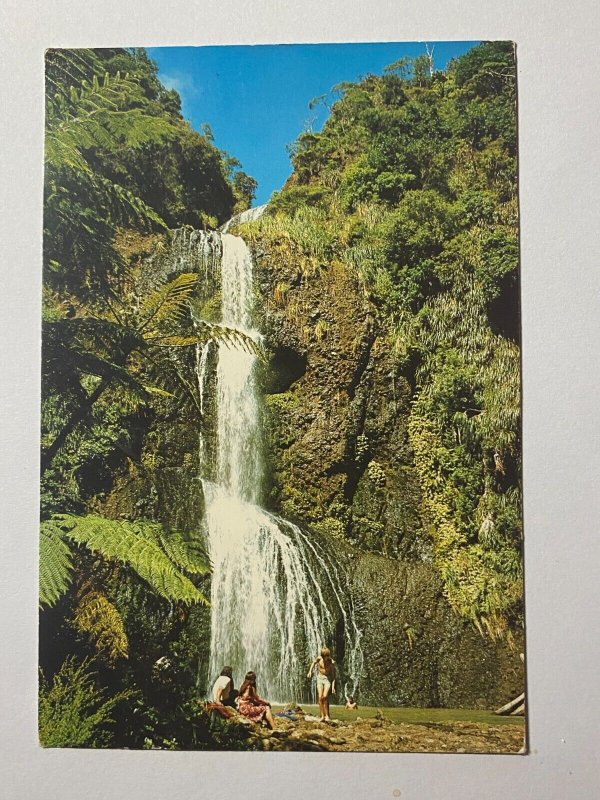 POSTED   PICTURE POSTCARD NEW ZEALAND -  KITEKITE FALLS AUCKLAND   (KK4158) 