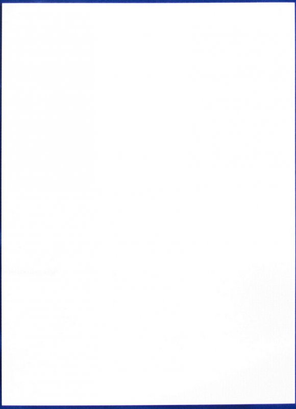 SOVIET AVIA POSTER Aviation Avant -Garde Placard Stalin Aviation USSR New