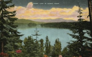 Vintage Postcard Priest Lake Ski Races Tobogganing Ski Jumping Seneca Idaho ID