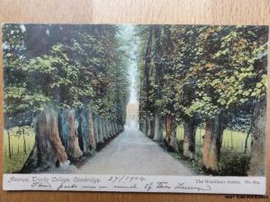 c1904 - Avenue - Trinity College - Cambridge