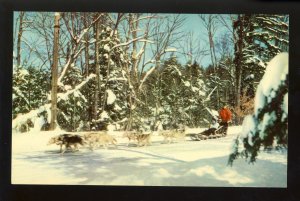 Lake Placid, New York/NY Postcard, Dog Sled Race