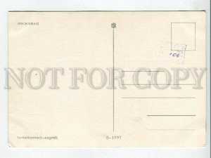 464392 Serbia congratulations from Leskovac Old postcard