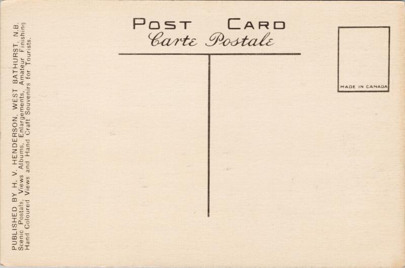 Gros Morne Quebec QC Sharp Corner Unused Vintage Postcard F2