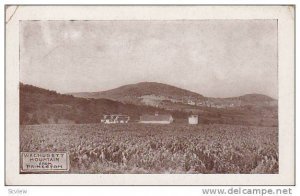 Wachusett mountain from Princeton, New Jersey,00-10s