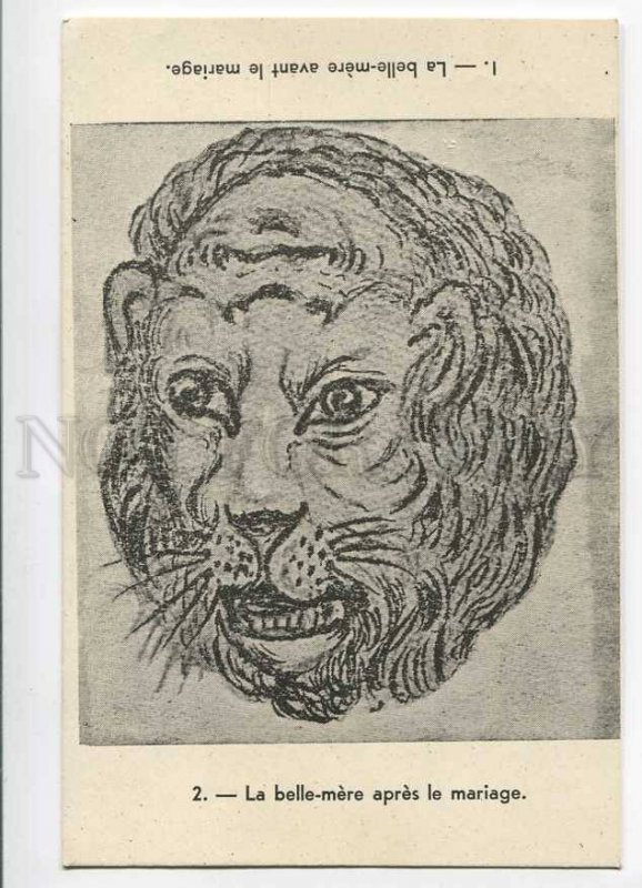 279770 METAMORPHIC Two Faces Bride Lion WIFE vintage PC