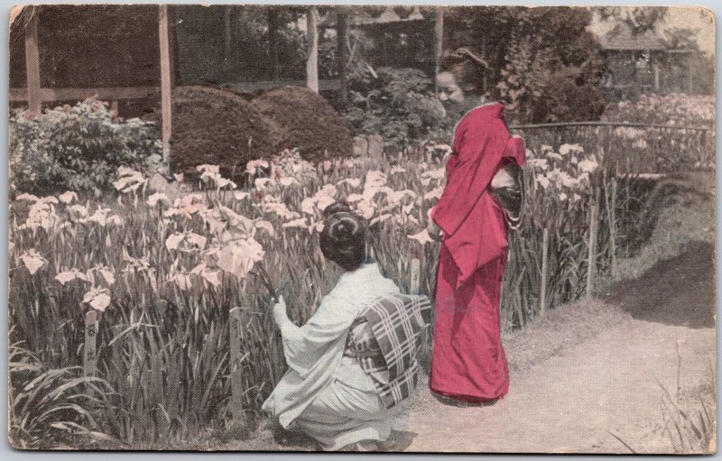 1910's Harakiri Iris Garden Tokyo Japan Secondary Deity Olympus Posted Postcard