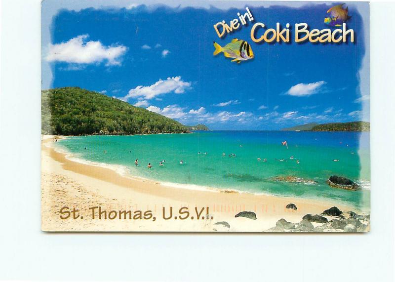 Postcard Coki Beach St Thomas US Virgin Islands Carribean Waters Iguana  # 3874A