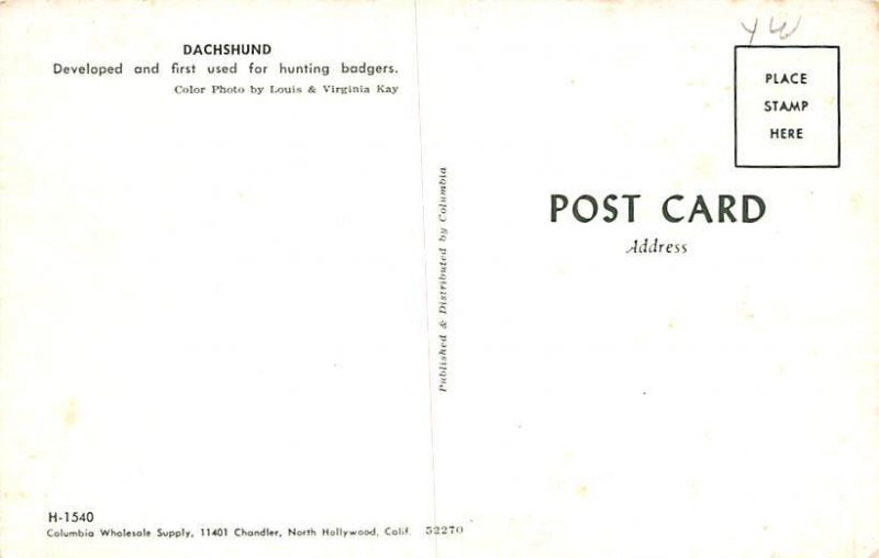 Dachshunds Dog Unused 