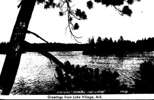 Arkansas Greetings From Lake Village View Across The Lake 1946 Real Photo