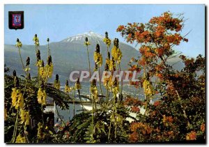 Postcard Modern Tenerife and Teide Preside and Coloridé