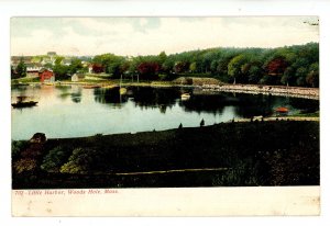 MA - Woods Hole, Cape Cod. Little Harbor  ca 1905