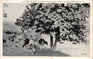 Shade of the Old Maple Tree - Bloomingburg, New York NY Postcard