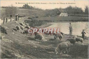 Old Postcard surroundings St Sauveur Yonne A Corner of the Pond of Moutiers S...