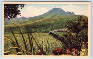 Saint Pierre Le Mont Pele MARTINIQUE Postcard